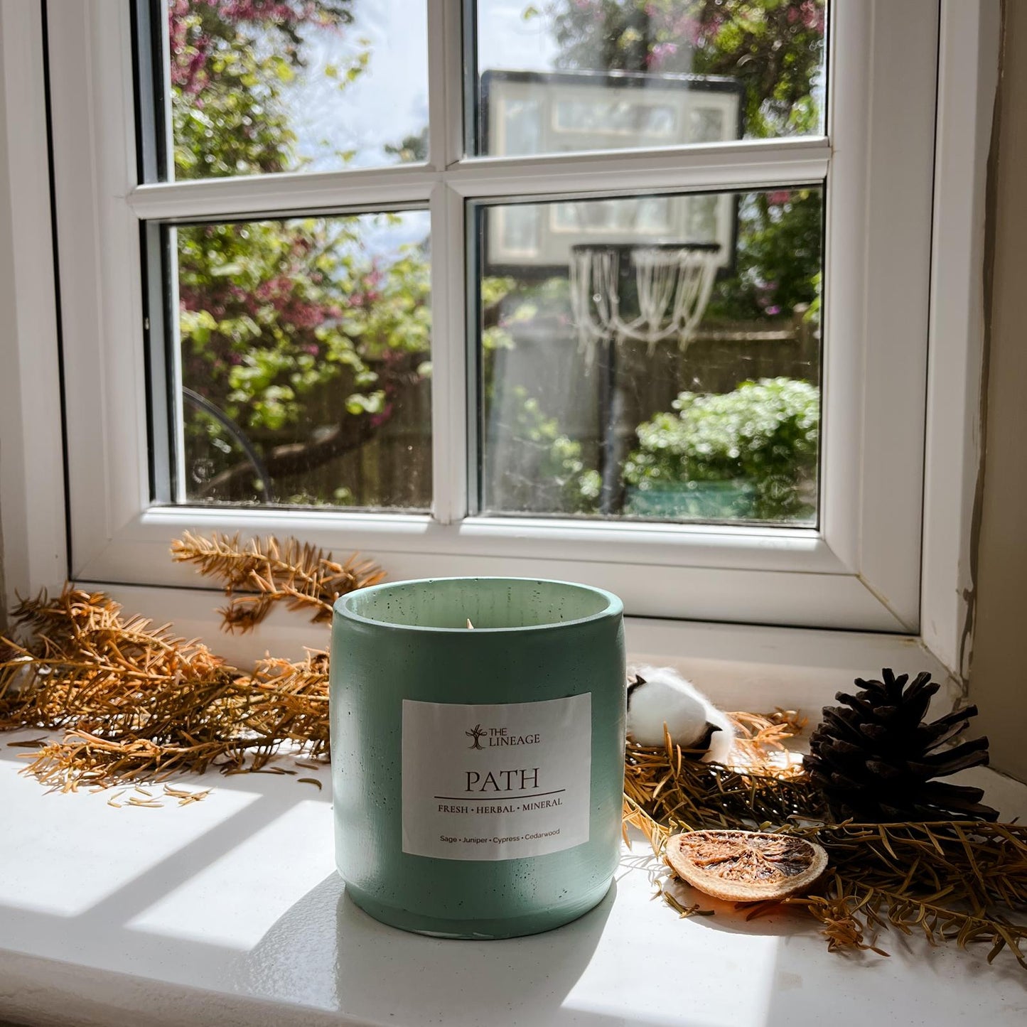 Path hand-poured soy candle displayed on a sunlit windowsill with natural botanical decor